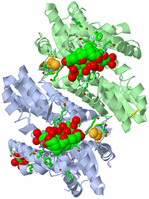 Image Asym./Biol. Unit - sites