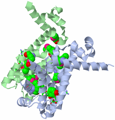 Image Asym./Biol. Unit - sites