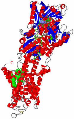 Image Asym./Biol. Unit - sites