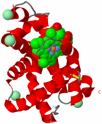 Image Asym./Biol. Unit