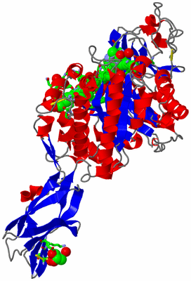 Image Asym./Biol. Unit - sites