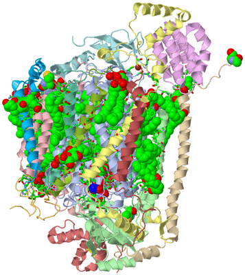 Image Biol. Unit 1 - sites