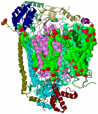 Image Biological Unit 2