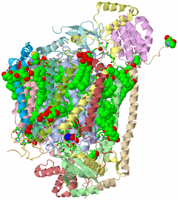 Image Biol. Unit 1 - sites