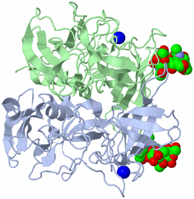 Image Asym./Biol. Unit