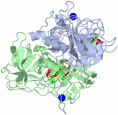 Image Asym./Biol. Unit