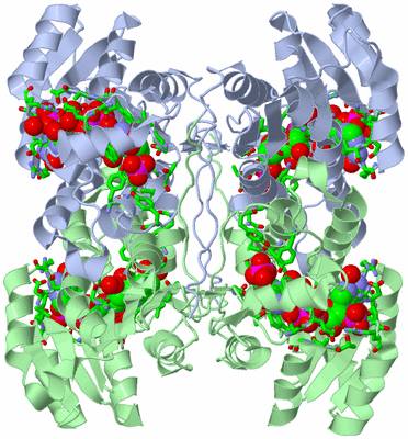 Image Biol. Unit 1 - sites