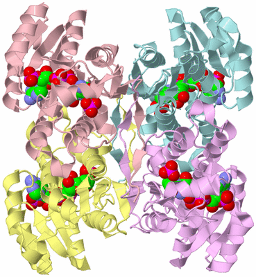 Image Biological Unit 2