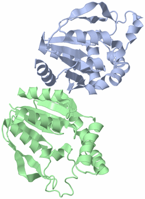 Image Asym./Biol. Unit