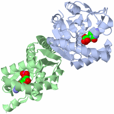 Image Asym./Biol. Unit