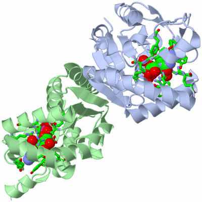 Image Asym./Biol. Unit - sites