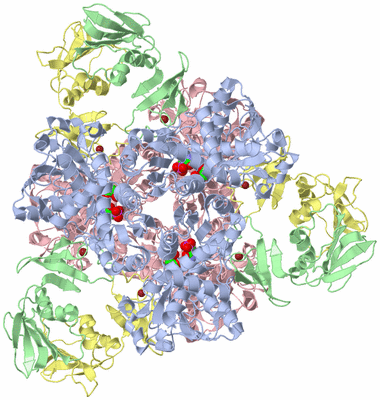 Image Biological Unit 1