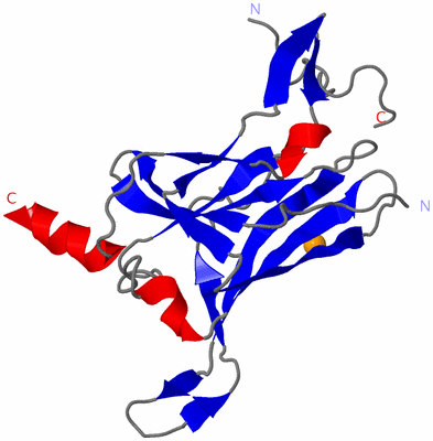 Image Asymmetric Unit