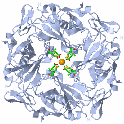 Image Biol. Unit 1 - sites