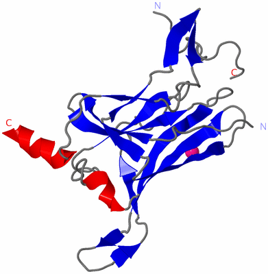 Image Asymmetric Unit