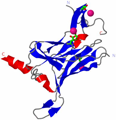 Image Asym. Unit - sites