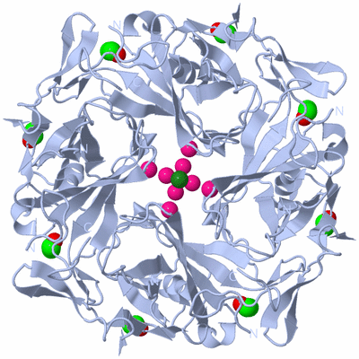 Image Biological Unit 1