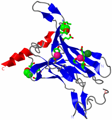 Image Asym. Unit - sites