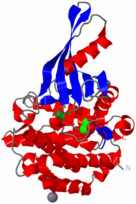 Image Asym./Biol. Unit