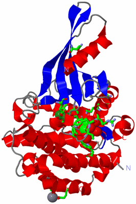 Image Asym./Biol. Unit - sites