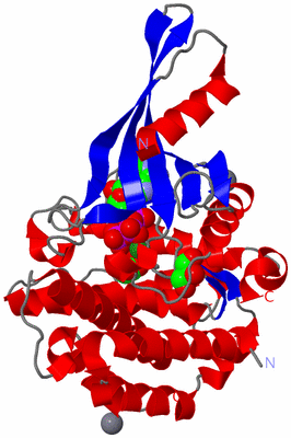 Image Asym./Biol. Unit