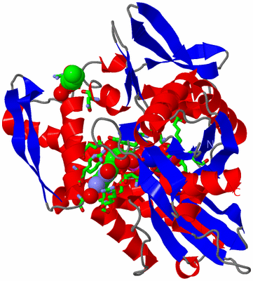 Image Asym./Biol. Unit - sites