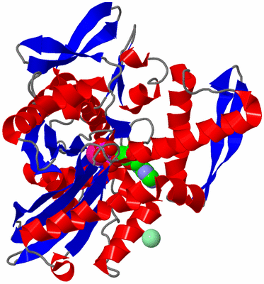 Image Asym./Biol. Unit