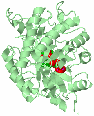 Image Biological Unit 2