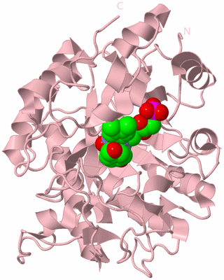 Image Biological Unit 3