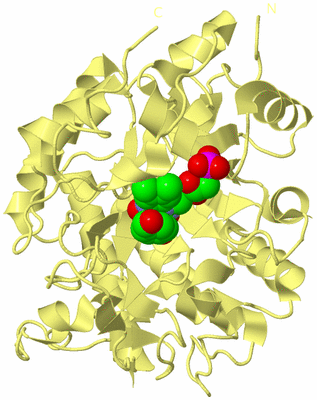 Image Biological Unit 4