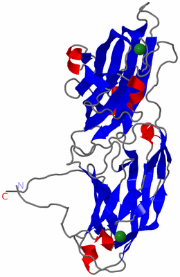 Image Asymmetric Unit