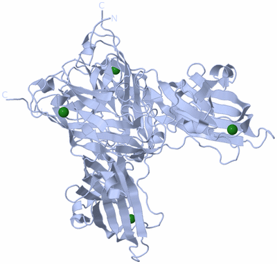 Image Biological Unit 1