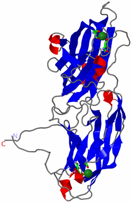 Image Asym. Unit - sites