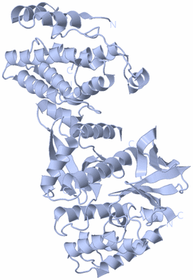 Image Biological Unit 1