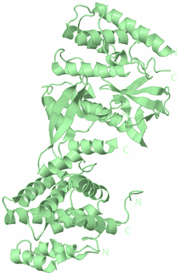 Image Biological Unit 2