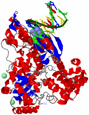 Image Asym./Biol. Unit