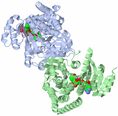 Image Asym./Biol. Unit