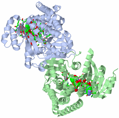 Image Asym./Biol. Unit - sites