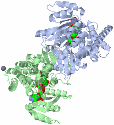 Image Asym./Biol. Unit