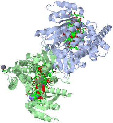 Image Asym./Biol. Unit - sites