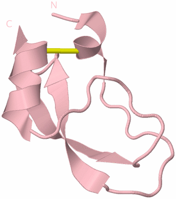 Image Biological Unit 3