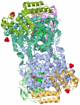 Image Asym./Biol. Unit