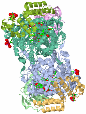 Image Asym./Biol. Unit - sites