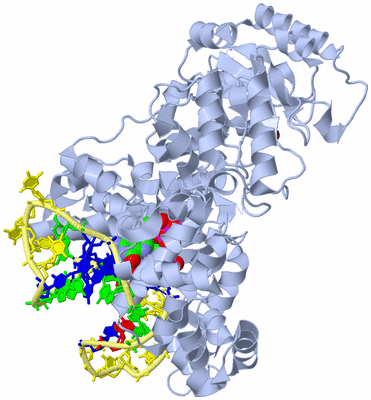 Image Biological Unit 1