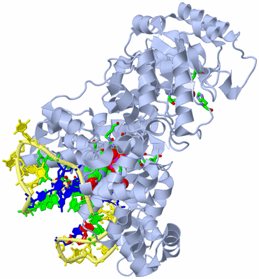 Image Biol. Unit 1 - sites