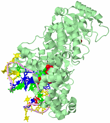 Image Biological Unit 2