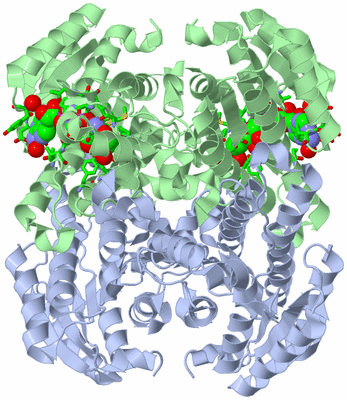 Image Biol. Unit 1 - sites