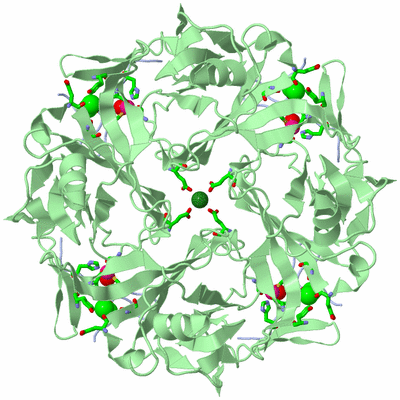 Image Biol. Unit 1 - sites