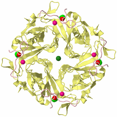 Image Biological Unit 2