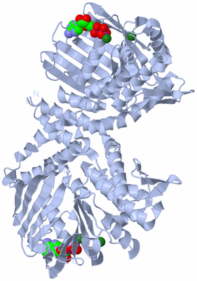 Image Biological Unit 1